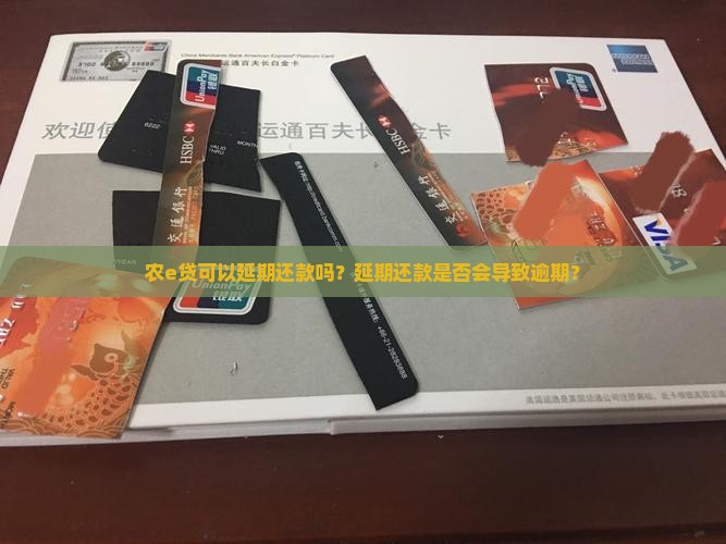 农e贷可以延期还款吗