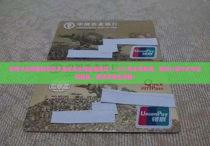 信用卡逾期金额是按本金还是全部逾期款项