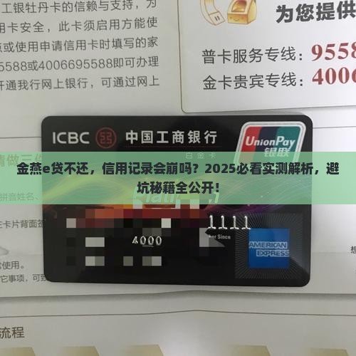 金燕e贷不还款会怎样影响信用记录