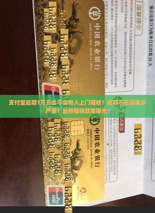 支付宝逾期1万五会不会有人上门催收