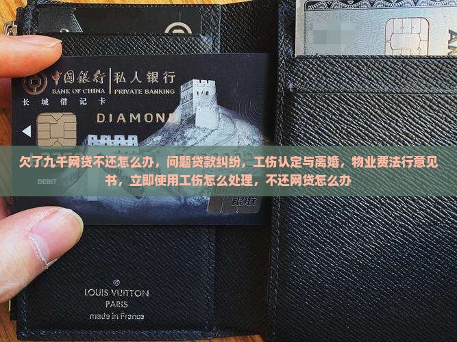 欠了九千网贷不还怎么办