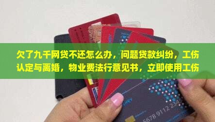 欠了九千网贷不还怎么办