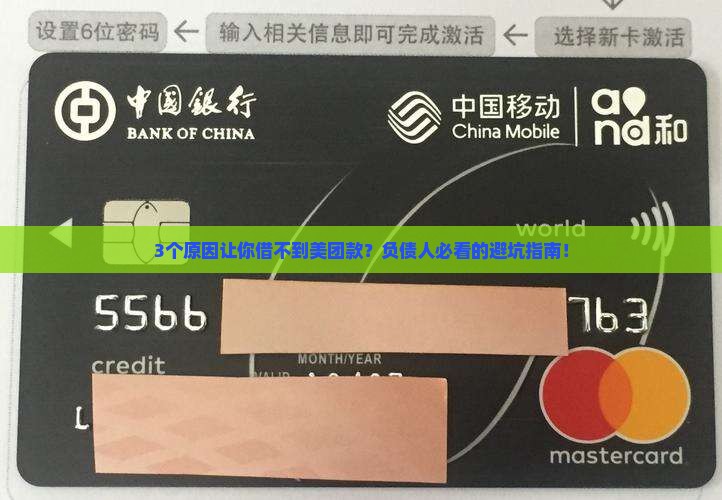 美团借款还不起会怎样
