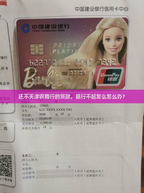 还不起天津农商银行的钱该怎么办