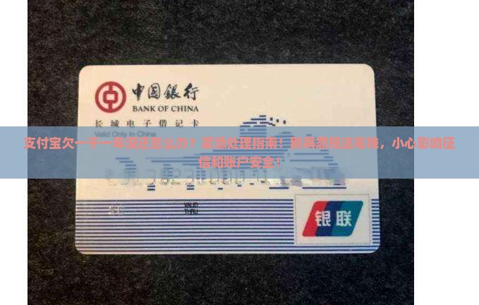 支付宝欠一千一年没还怎么办