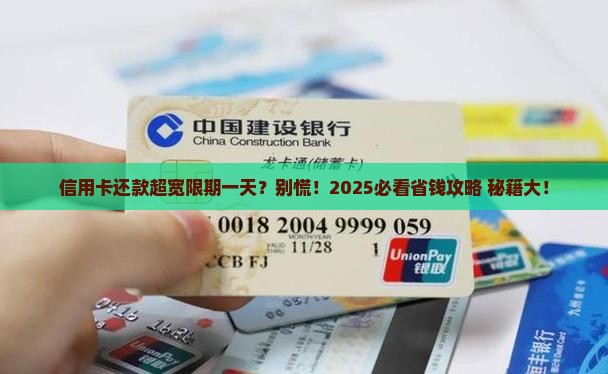 信用卡还款过宽限期一天该如何处理