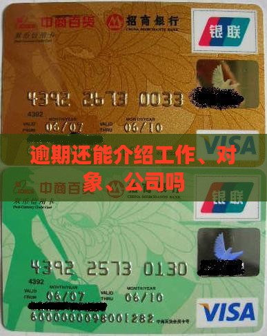 逾期还能介绍