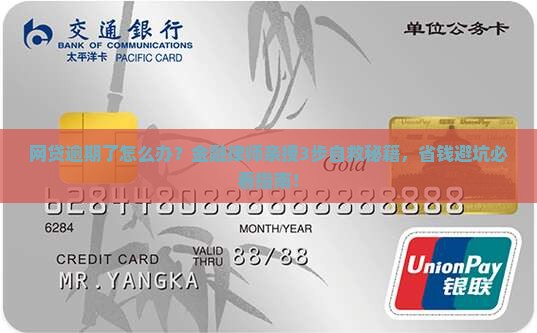 金融律师讲网贷逾期了怎么处理应该怎么办