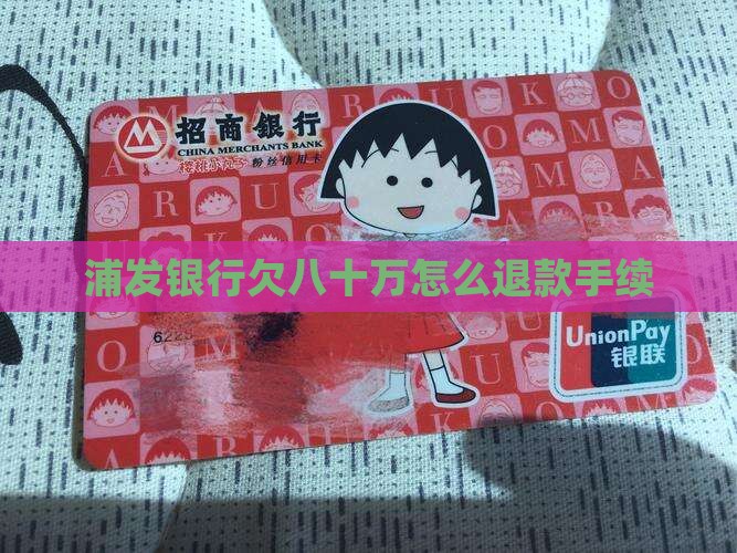 浦发银行欠八十万怎么办理退款手续