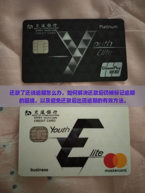 信用飞还款了还说逾期怎么办