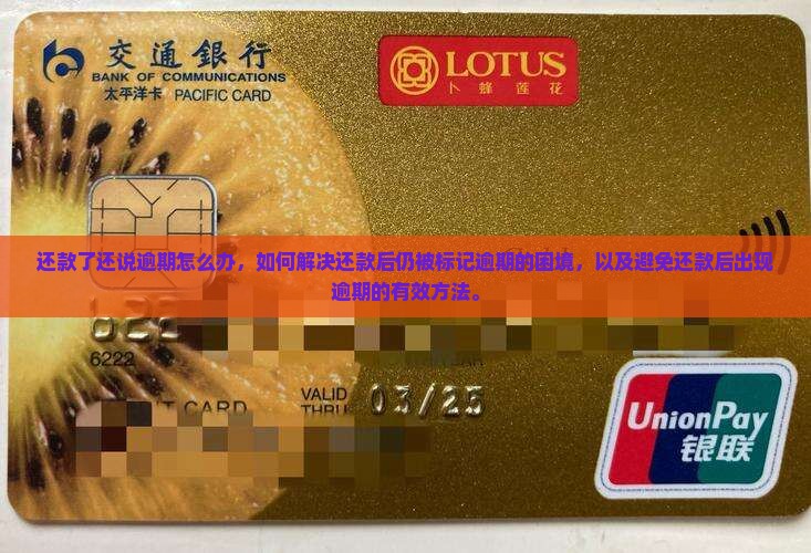 信用飞还款了还说逾期怎么办