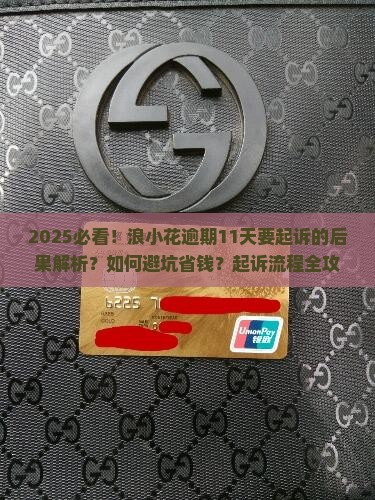浪小花逾期11天要起诉的后果是什么
