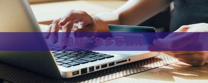 微信微粒贷逾期一年多怎么办