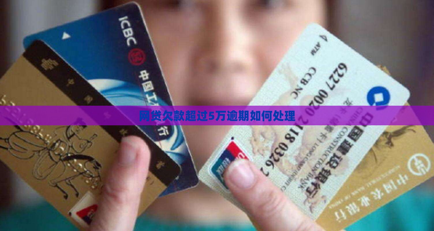 网贷欠款不超过5万金额应如何处理