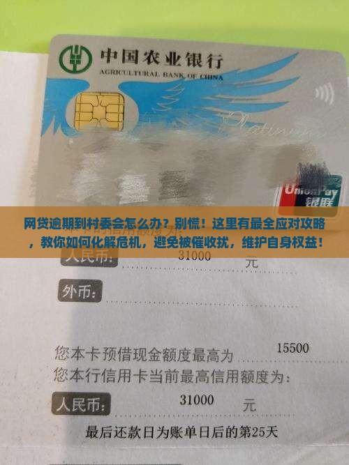网贷逾期到村委会怎么办