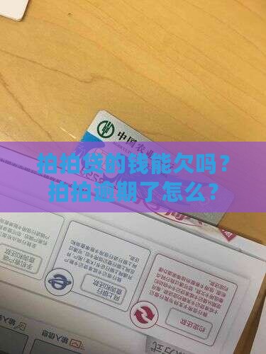 拍拍贷的钱能欠吗怎么办理