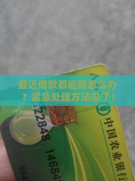 最近借款都逾期怎么办 最近借款都逾期怎么办