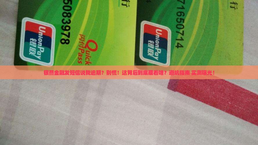 银燕金融发短信说我逾期该怎么办