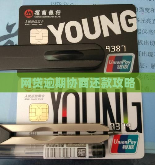 网贷如何进行个性化还款协商