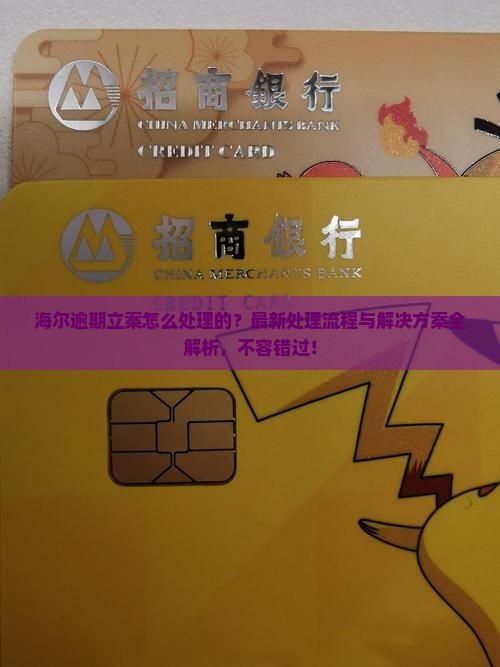海尔逾期立案怎么处理的