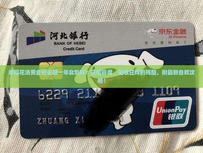 幸福花消费金融逾期一年后的后果及解决方案