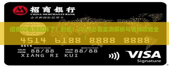 招商闪电贷起诉应该如何处理