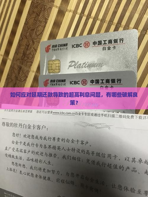 延期还款利息高不高呢怎么办