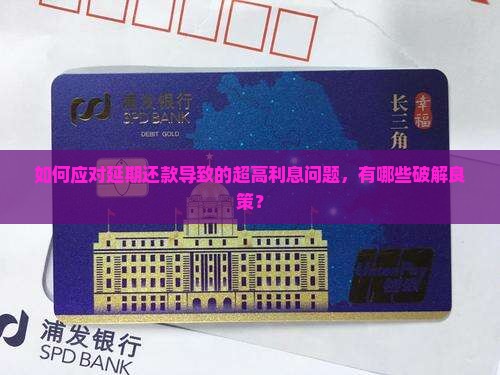 延期还款利息高不高呢怎么办