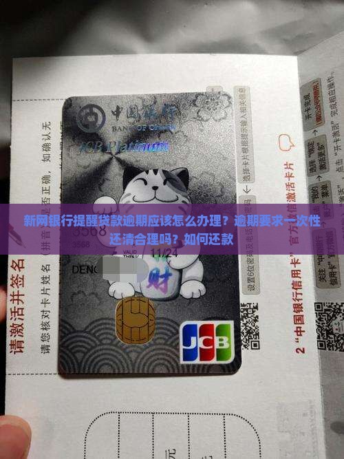 新网银行提醒贷款逾期应该怎么办理 新网银行提醒贷款逾期应该怎么办理