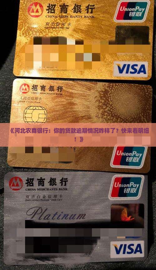 河北农商银行贷款逾期明细