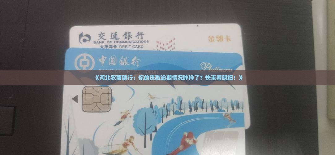 河北农商银行贷款逾期明细