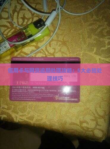 信用卡网贷逾期处理指南5个必知要点