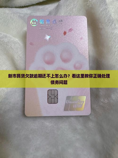 新市民贷欠款怎么处理