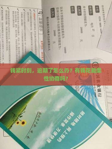 有钱花逾期能协商吗如何处理