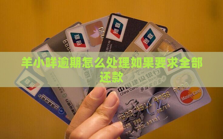 羊小咩逾期要求全部还款怎么办