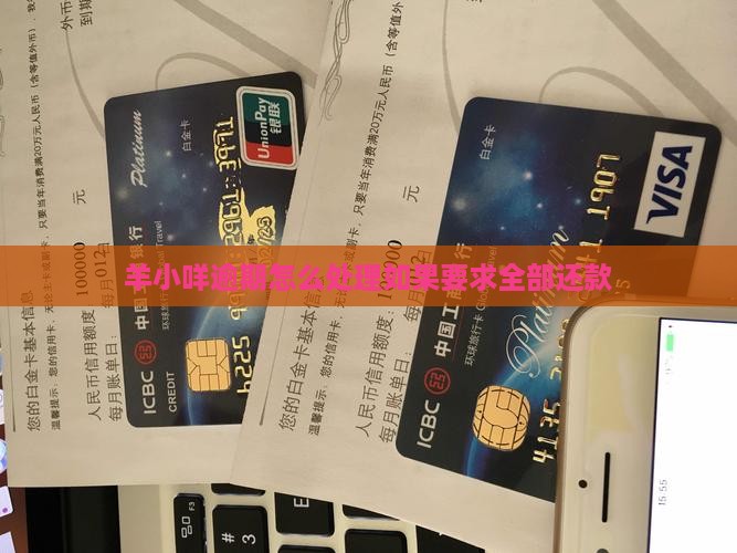 羊小咩逾期要求全部还款怎么办