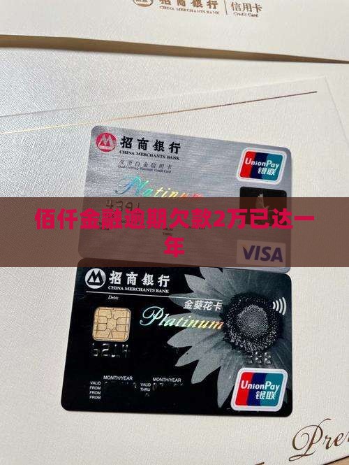 佰仟金融欠2万逾期1年