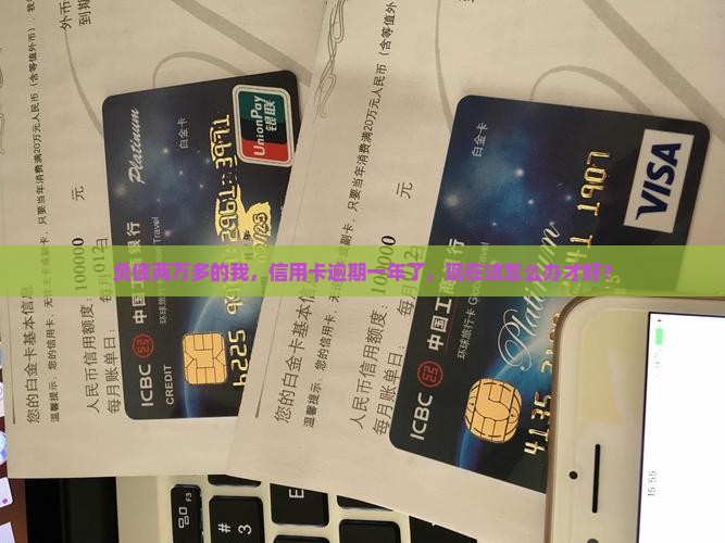 中信信用卡欠款两万逾期一年