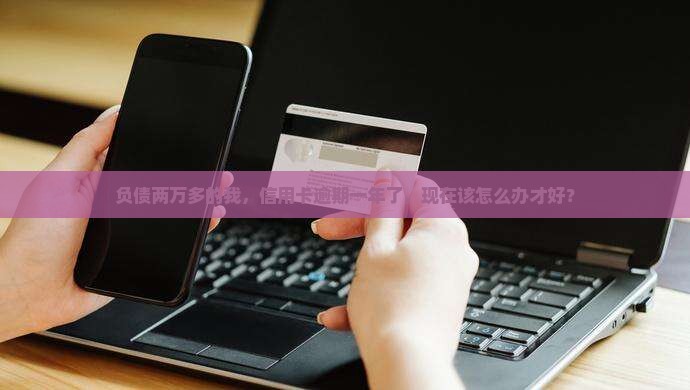 中信信用卡欠款两万逾期一年