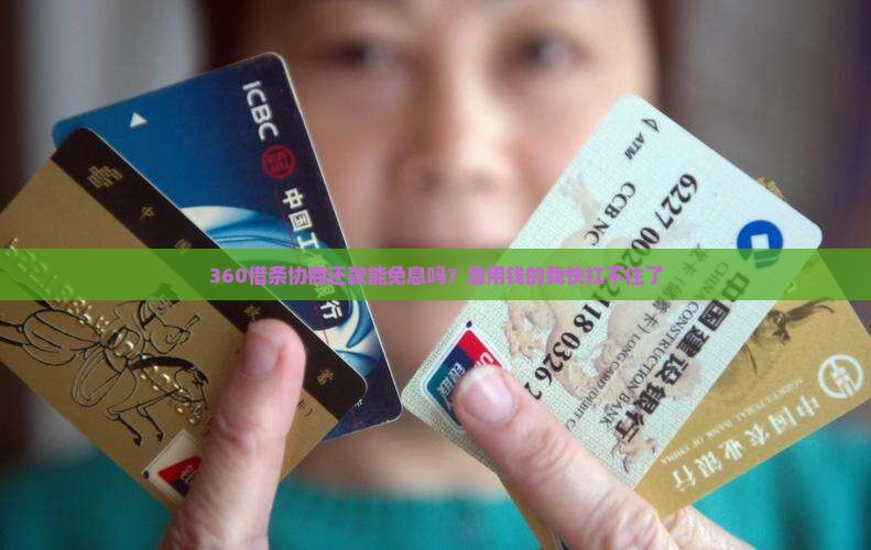 360借条协商还款免息