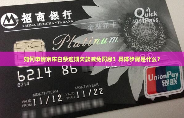 京东白条逾期欠款减免罚息的具体步骤