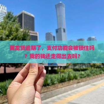 翼龙贷逾期会冻结支付功能吗