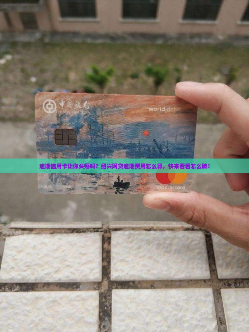 绍兴网贷信用卡逾期费用及处理方式