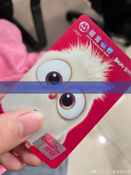 支付宝欠款多久能起诉