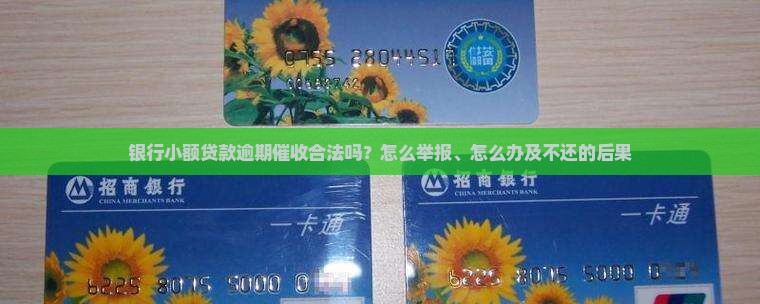 银行小额贷款逾期催收合法吗