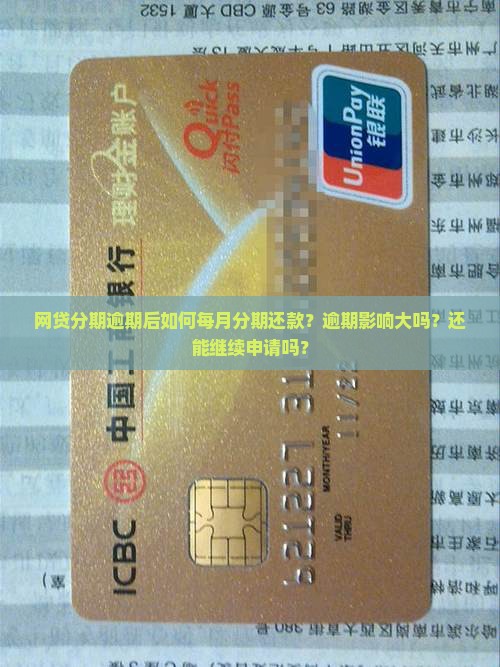 网贷分期逾期后如何每月分期还款