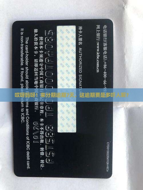 来分期逾期7天逾期费用多少