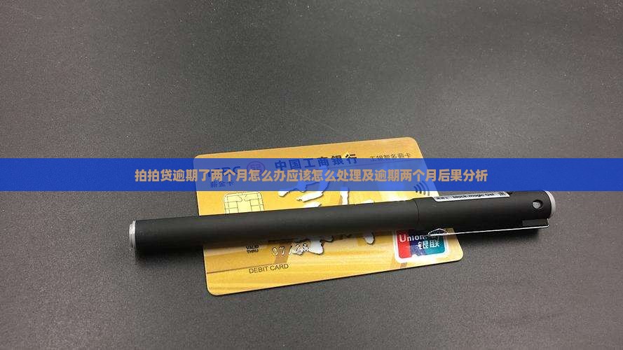 拍拍贷逾期了两个月怎么办应该怎么处理