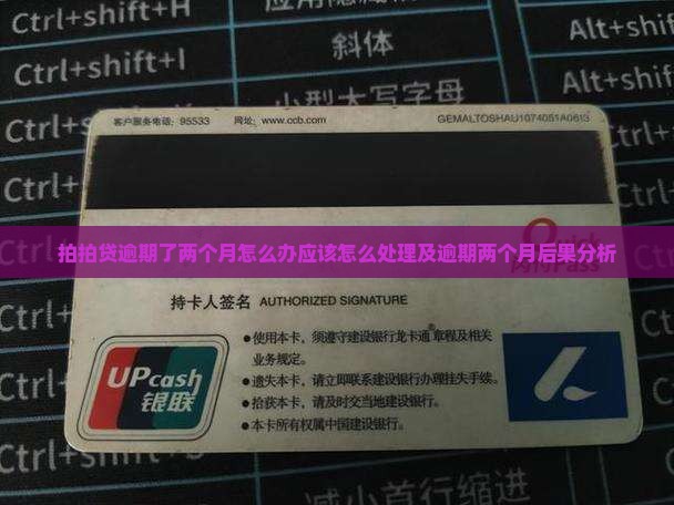 拍拍贷逾期了两个月怎么办应该怎么处理
