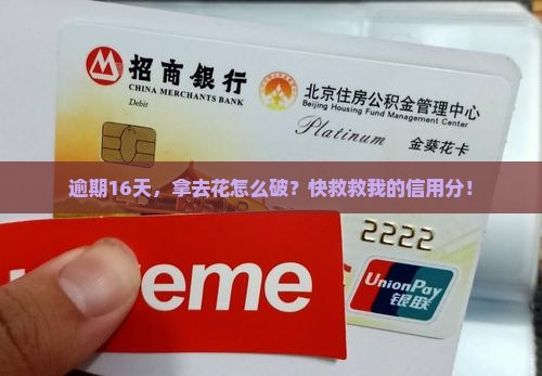 拿去花逾期16天怎么处理及避免影响信用分数